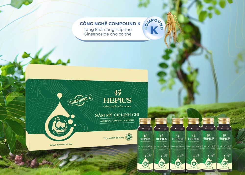 Hepius Sam My CK Linh Chi Hop 6 cao cap bg VN 5ec11229
