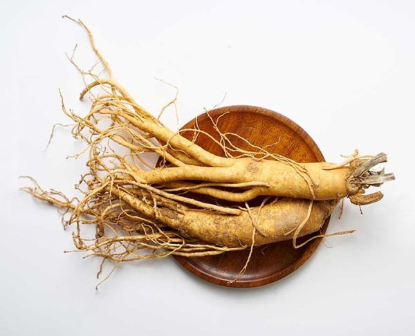 ginseng 1 ffcc5e51