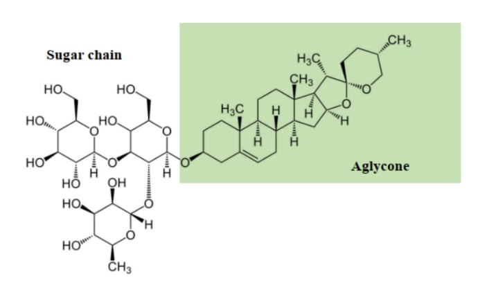 Cấu trúc của saponin gồm 2 phần chính: Aglycone và glycone