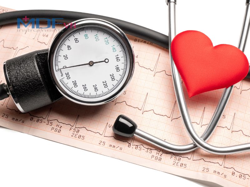 Nấm linh chi có công dụng ổn định huyết áp nhờ các Triterpenoid trong nấm giúp làm giãn mạch máu