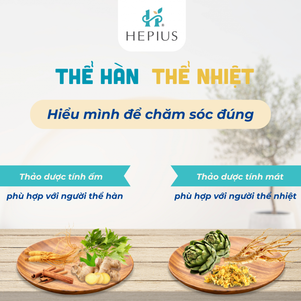 Sâm Mỹ là một loại thảo dược tính mát. Do đó vị thảo dược này phù hợp với phần lớn người châu Á vốn có thể nhiệt