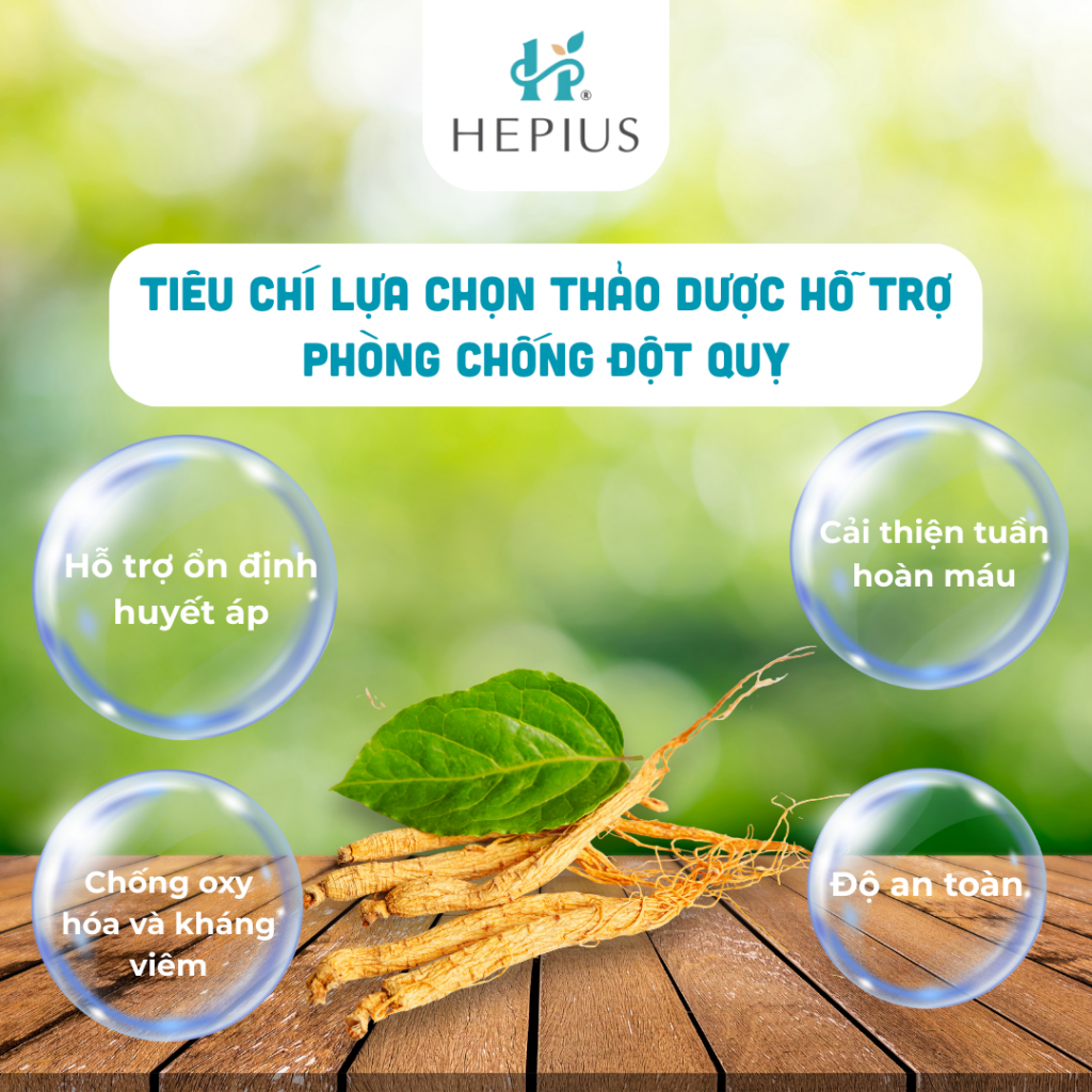 Các yếu tố giúp bạn chọn được thảo dược ngăn ngừa đột quỵ lý tưởng